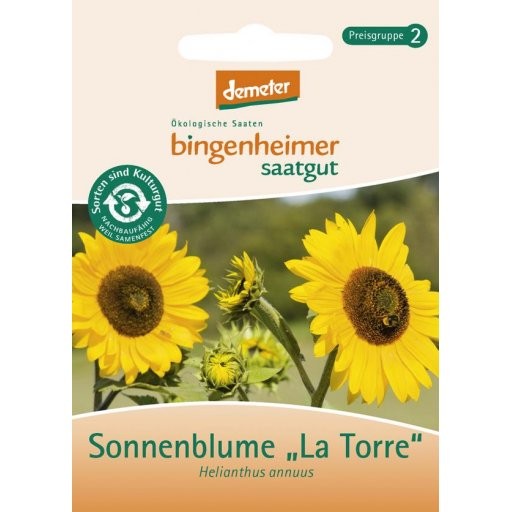 Sonnenblume La Torre, Tüten